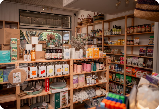 Ginger & Molasses Spice Cookies