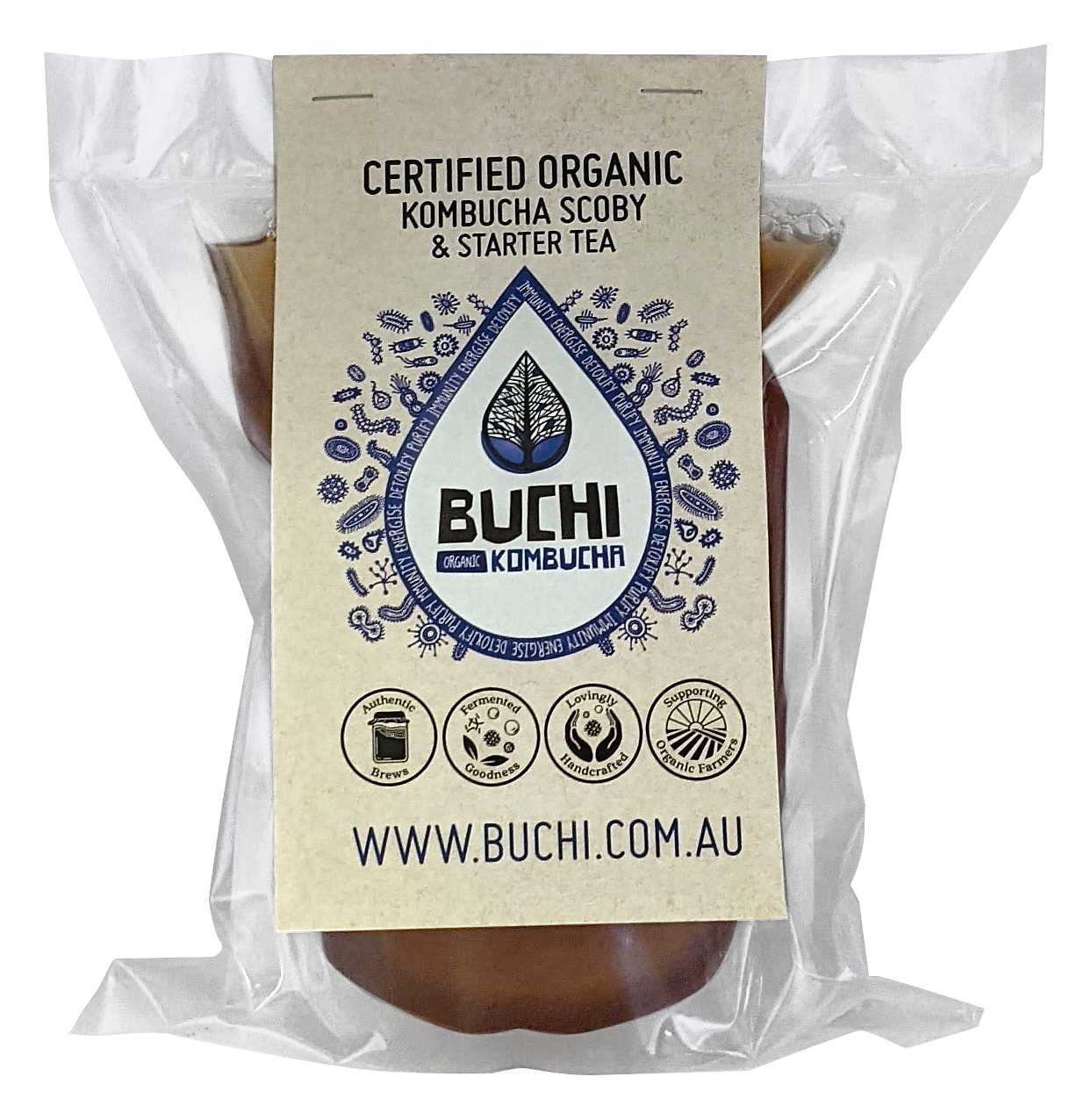 Buchi Kombucha Scoby