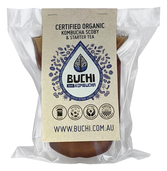 Buchi Kombucha Scoby