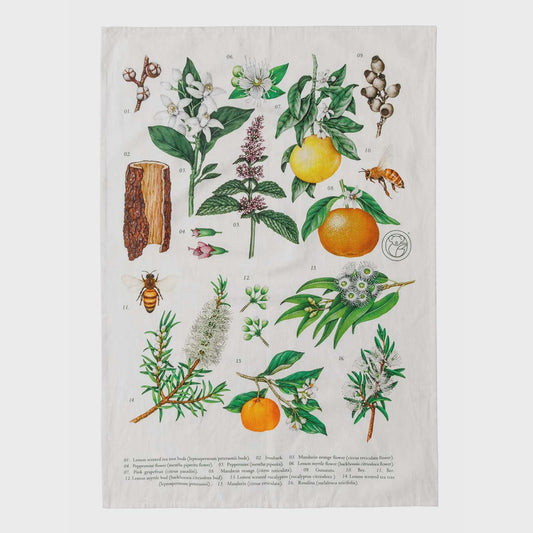 Koala Eco Tea Towel Botanical