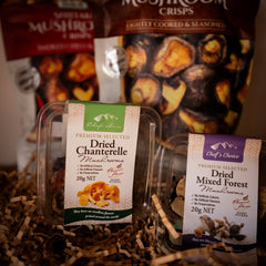 Dried Mushrooms